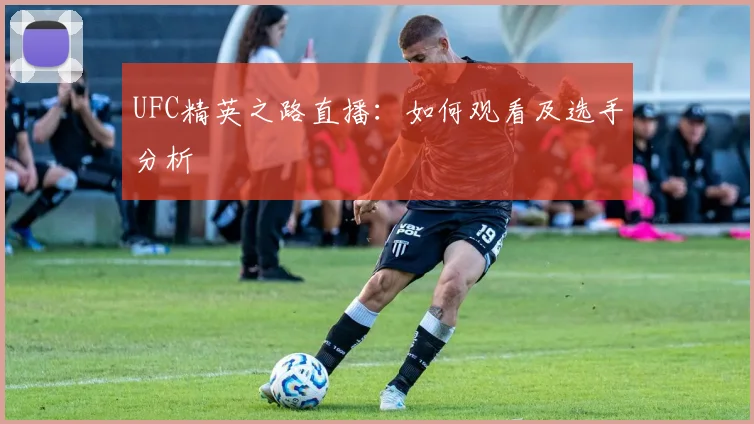 UFC精英之路直播：如何观看及选手分析