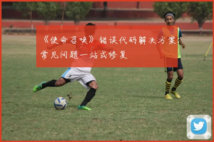 《使命召唤》错误代码解决方案：常见问题一站式修复