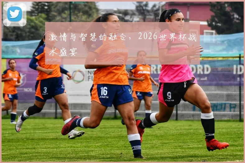 激情与智慧的融合，2026世界杯战术盛宴