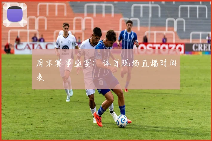 周末赛事盛宴：体育现场直播时间表