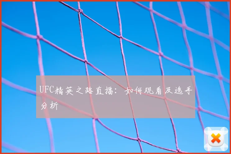 UFC精英之路直播：如何观看及选手分析